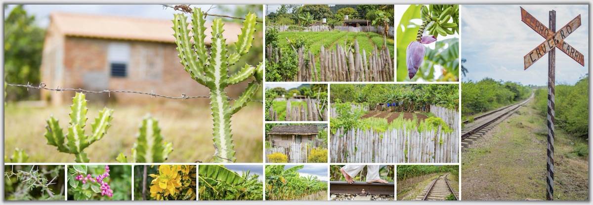 Aperçu de page d'album 100% photos. Les photos de Trinidad sont harmonieusement assemblées et séparées par une fine ligne blanche.